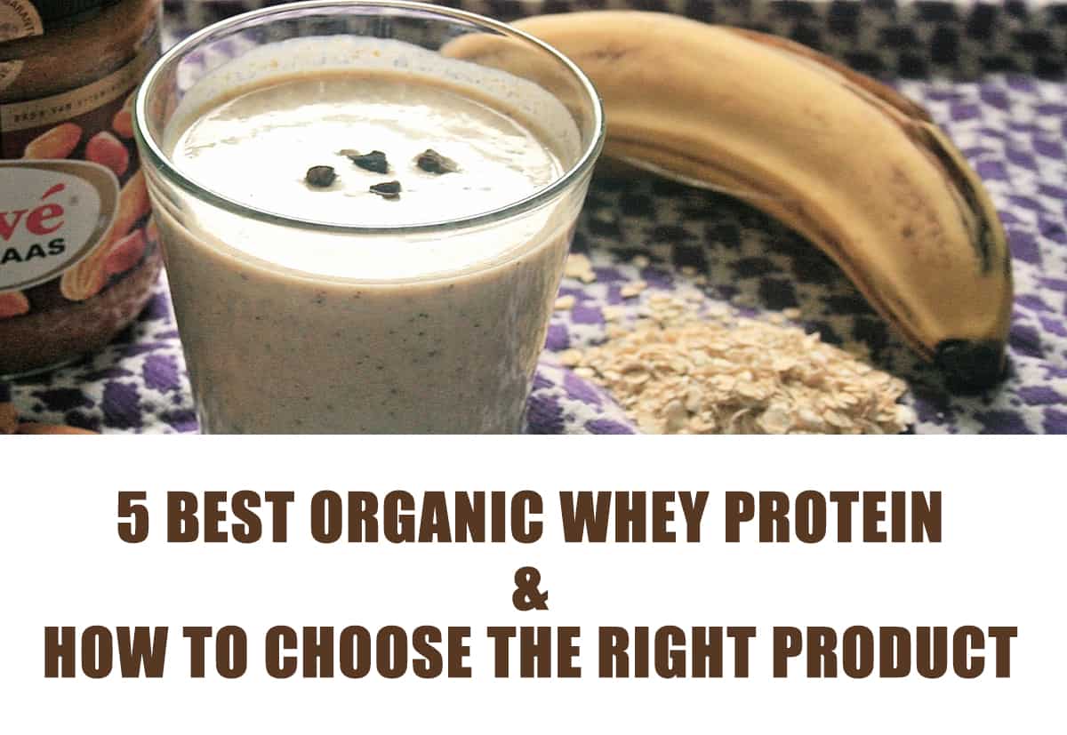 Best organic whey protein - The Manly Things